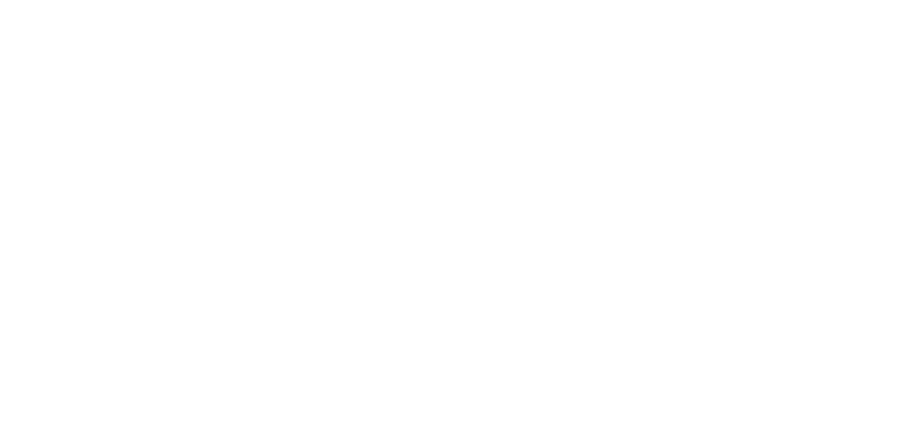European Turtle Alliance