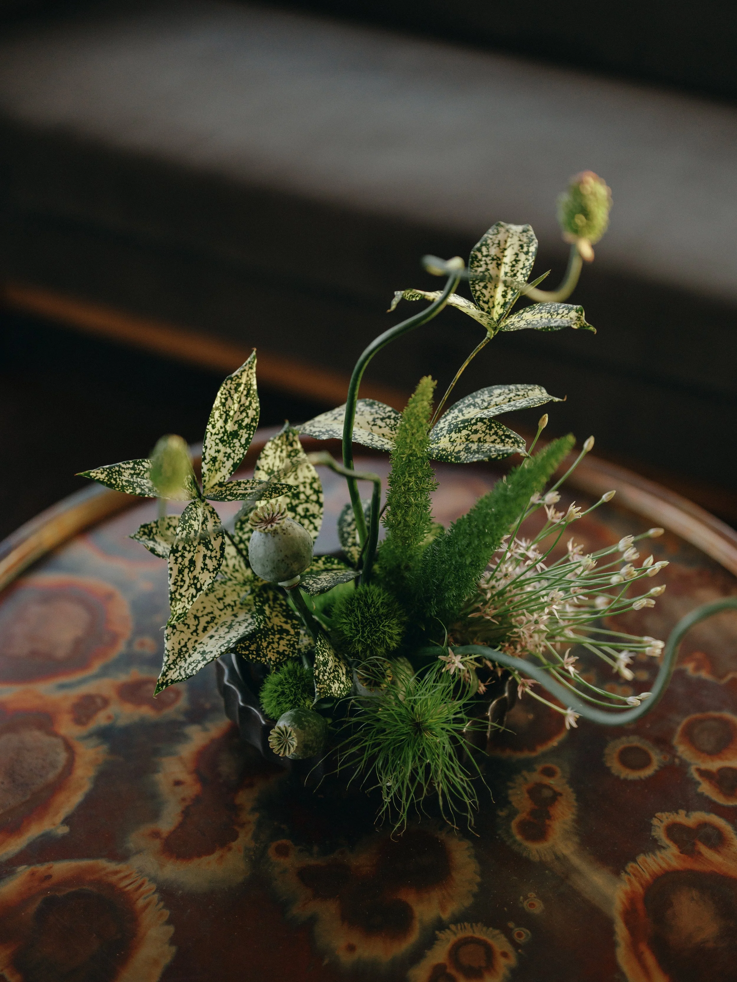 Casey & Eric 00856.jpg