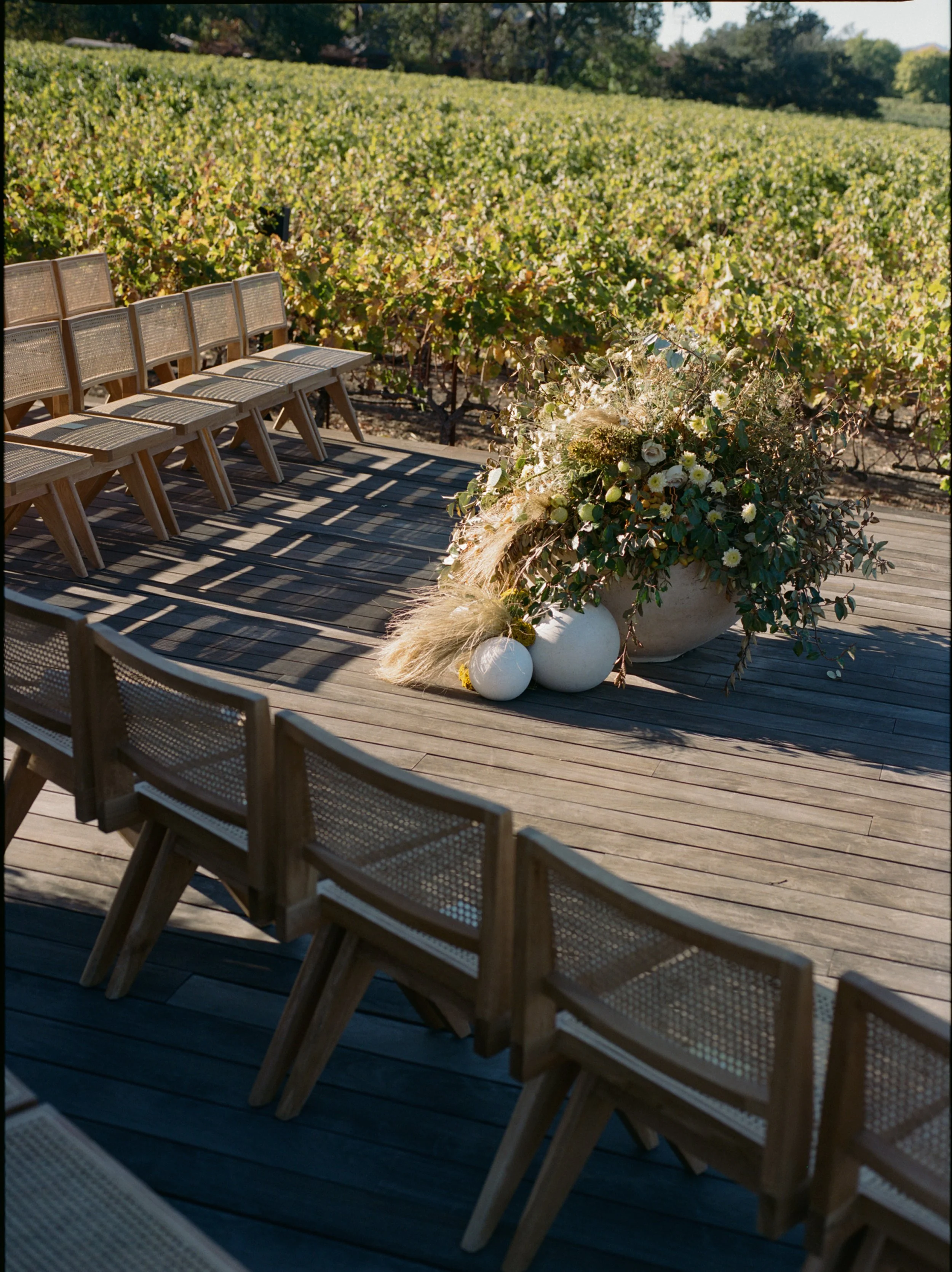 The Family Home in Wine Country