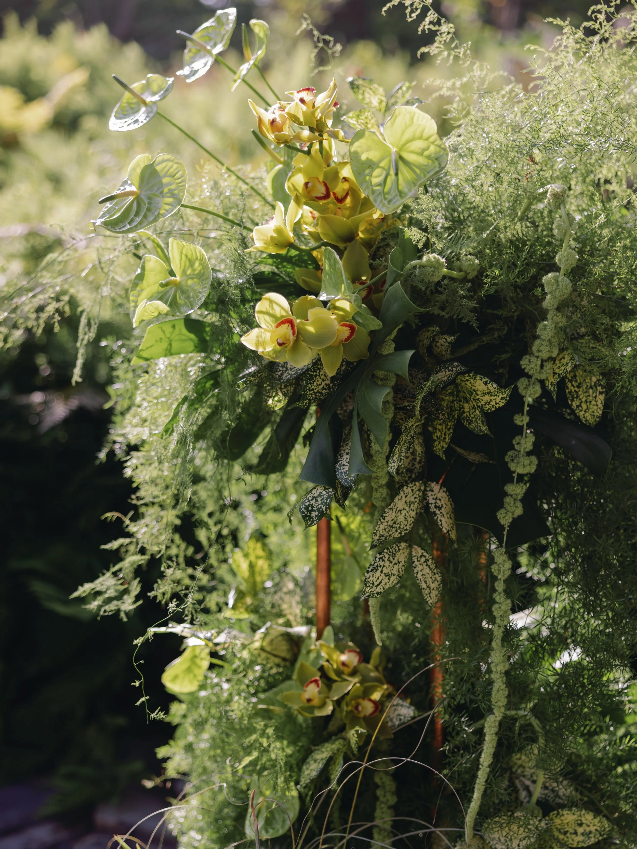 Casey & Eric 00359.jpg