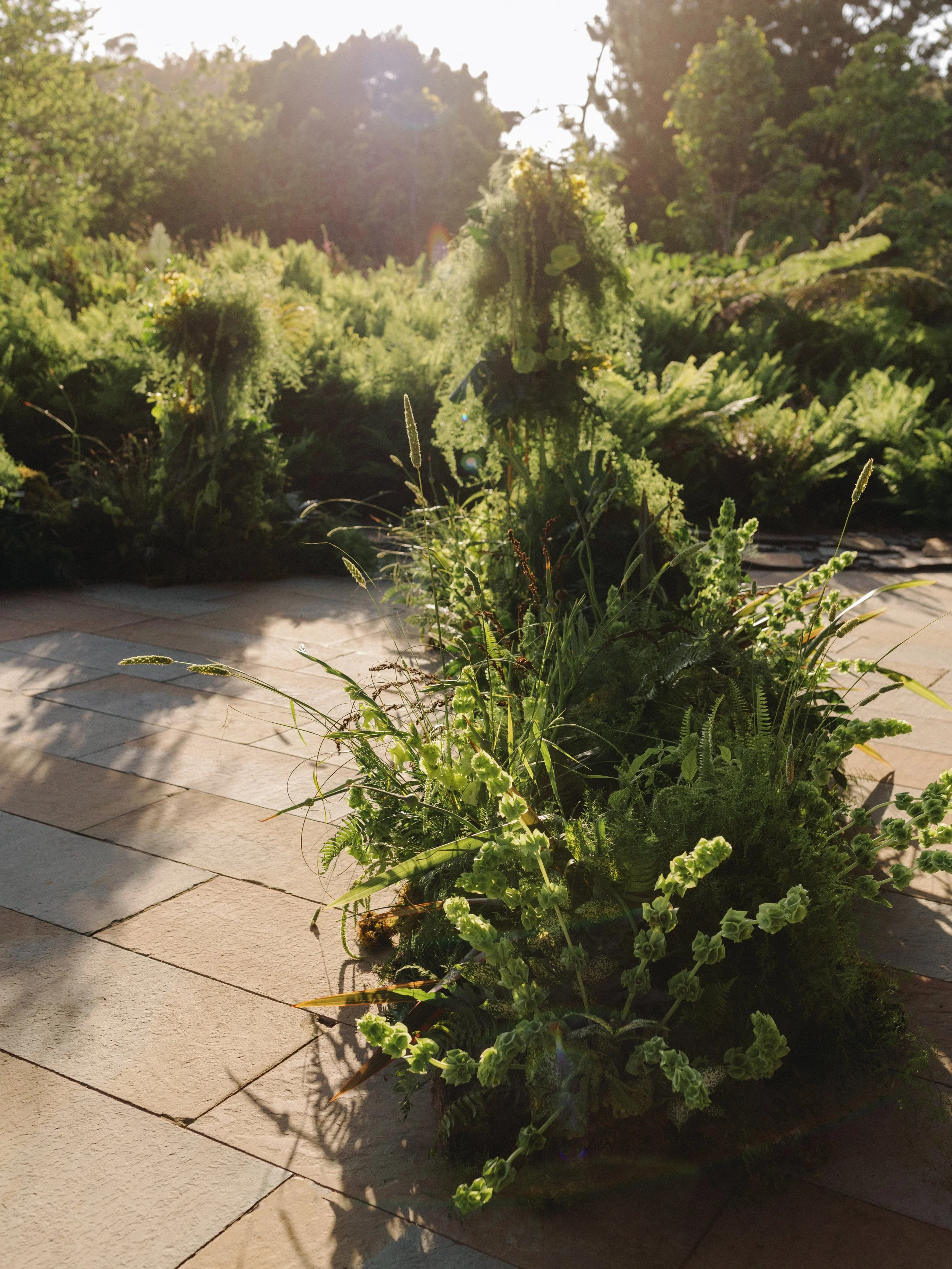 Casey & Eric 00557.jpg