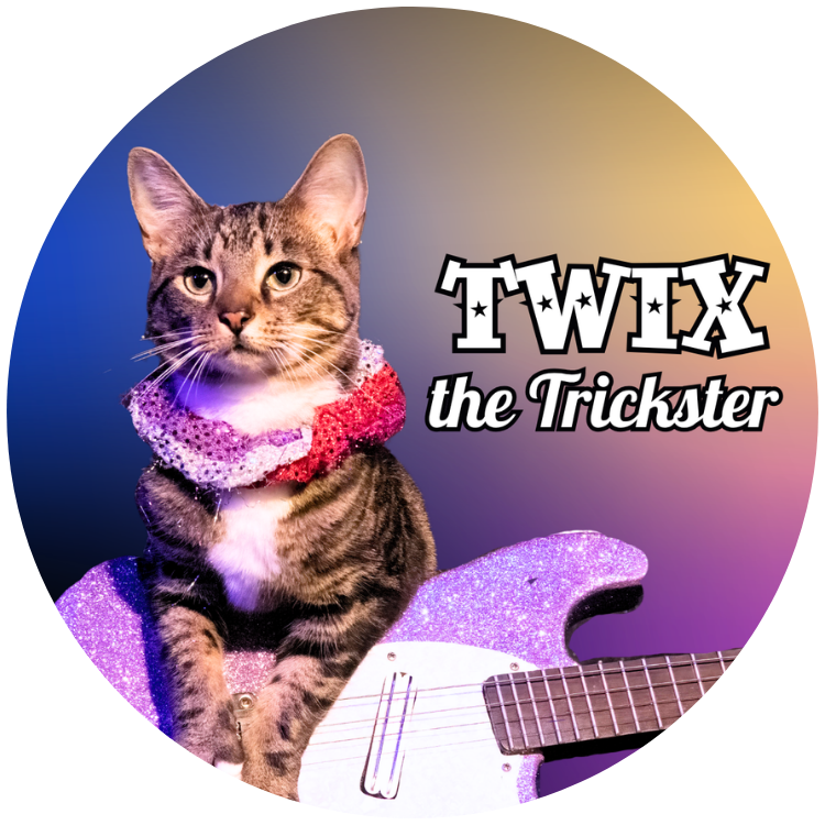 Twix "the Trickster" Button/Magnet