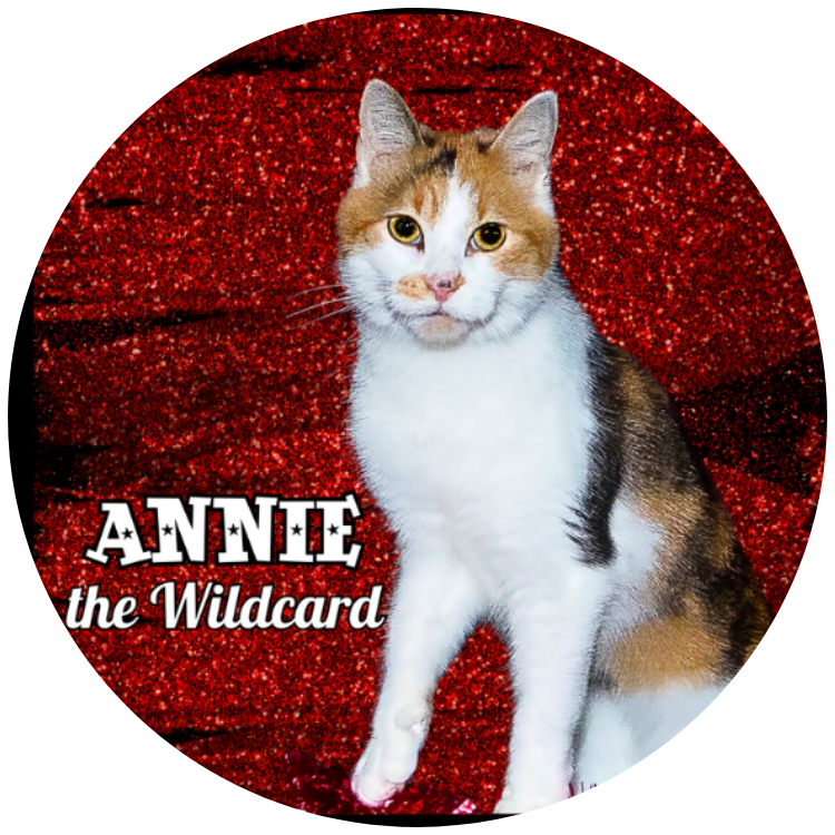 Annie "The Wildcard" Button/Magnet