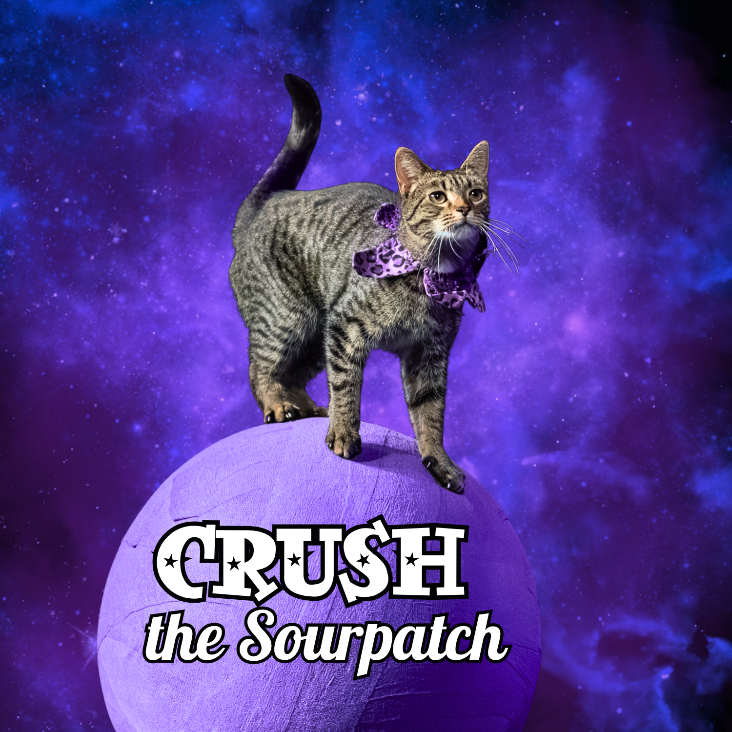 Crush new button (1).png