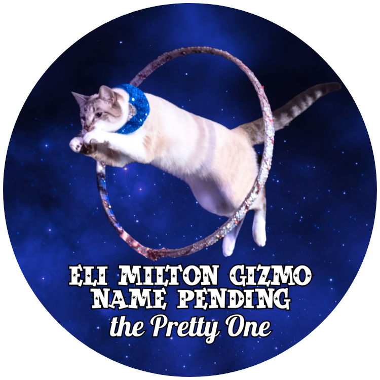 Eli Milton Gizmo Name Pending "the Pretty One" Button/Magnet