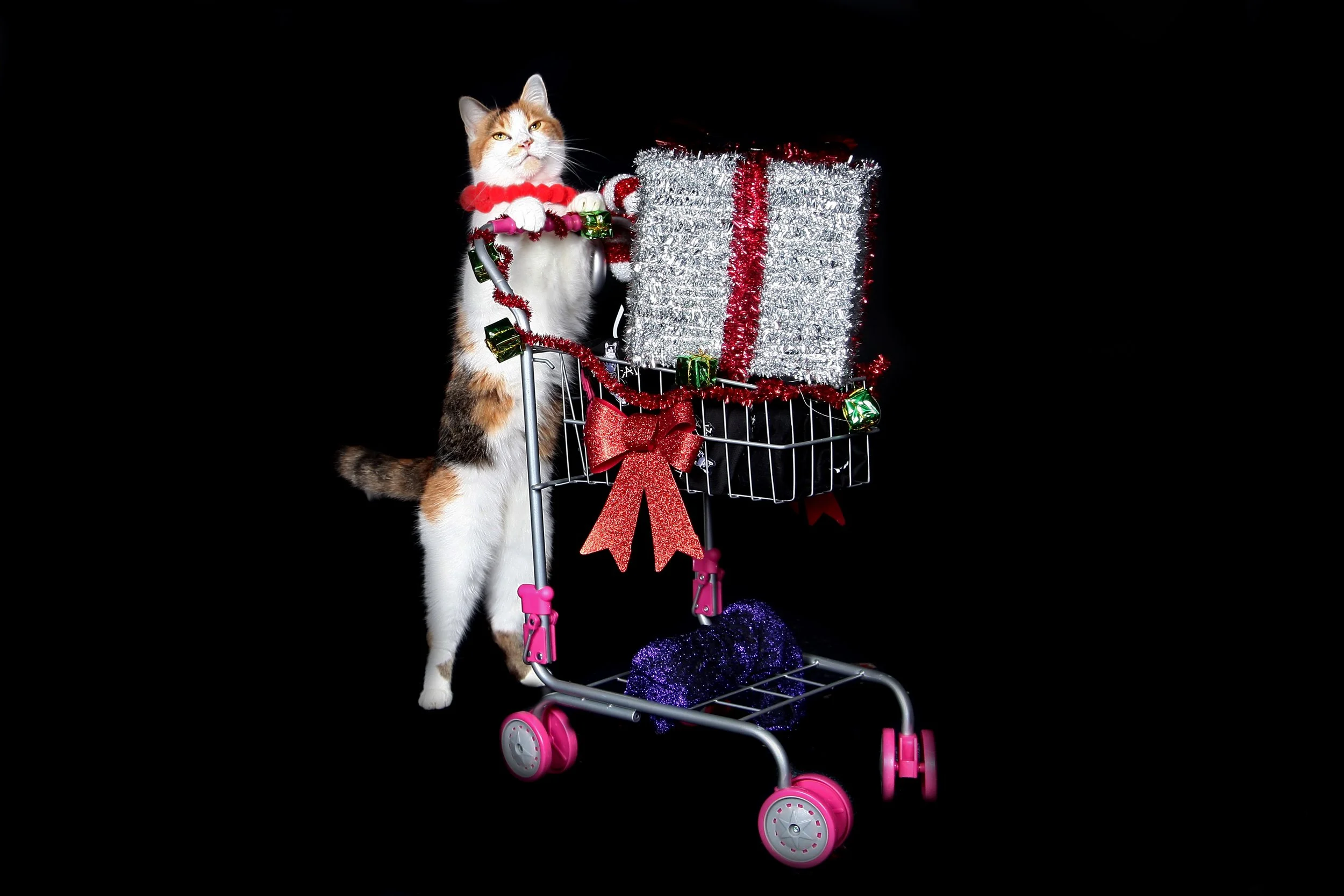 Annie shopping Smwarnke jpg.jpg