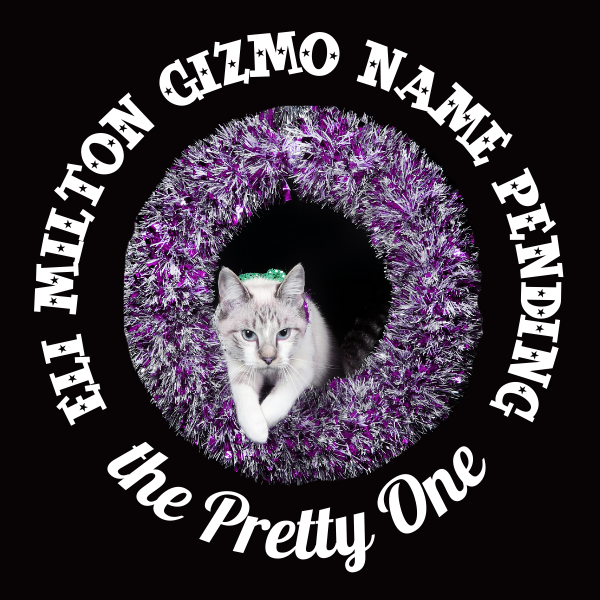 Eli Milton Gizmo Name pending button.png