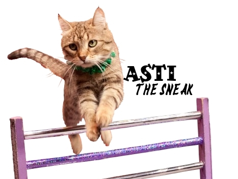 Asti sticker.png