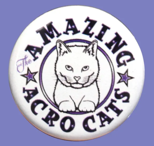 aac mini pin.png
