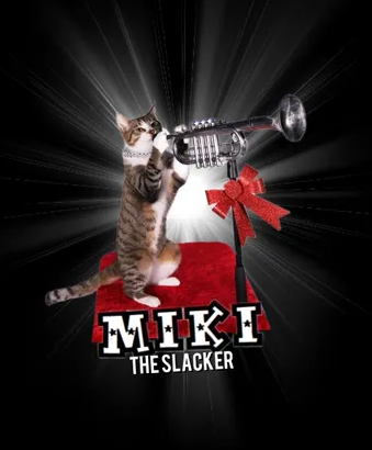 Miki-The-Slacker-Button-Magnet-Rock-Cats-Rescue-Amazing-Acro-cats-09-05-2025_05_46_PM.png
