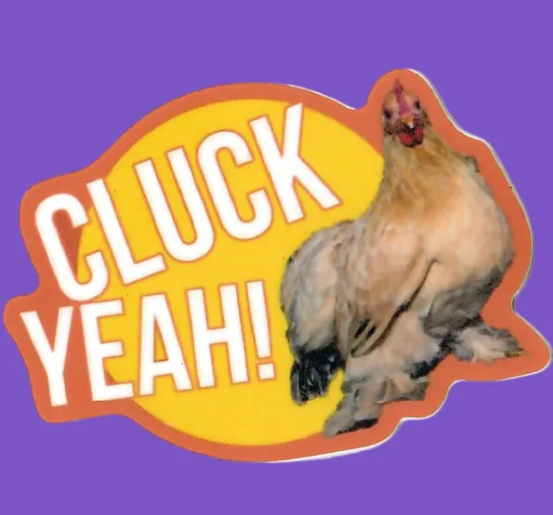 Cluck-Norris-the-Chicken-Sticker-Rock-Cats-Rescue-Amazing-Acro-cats-09-05-2025_07_36_PM.png