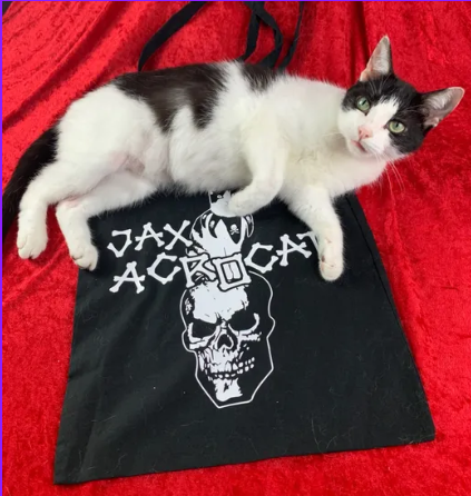 JAX Acrocat Skull Tote Bag