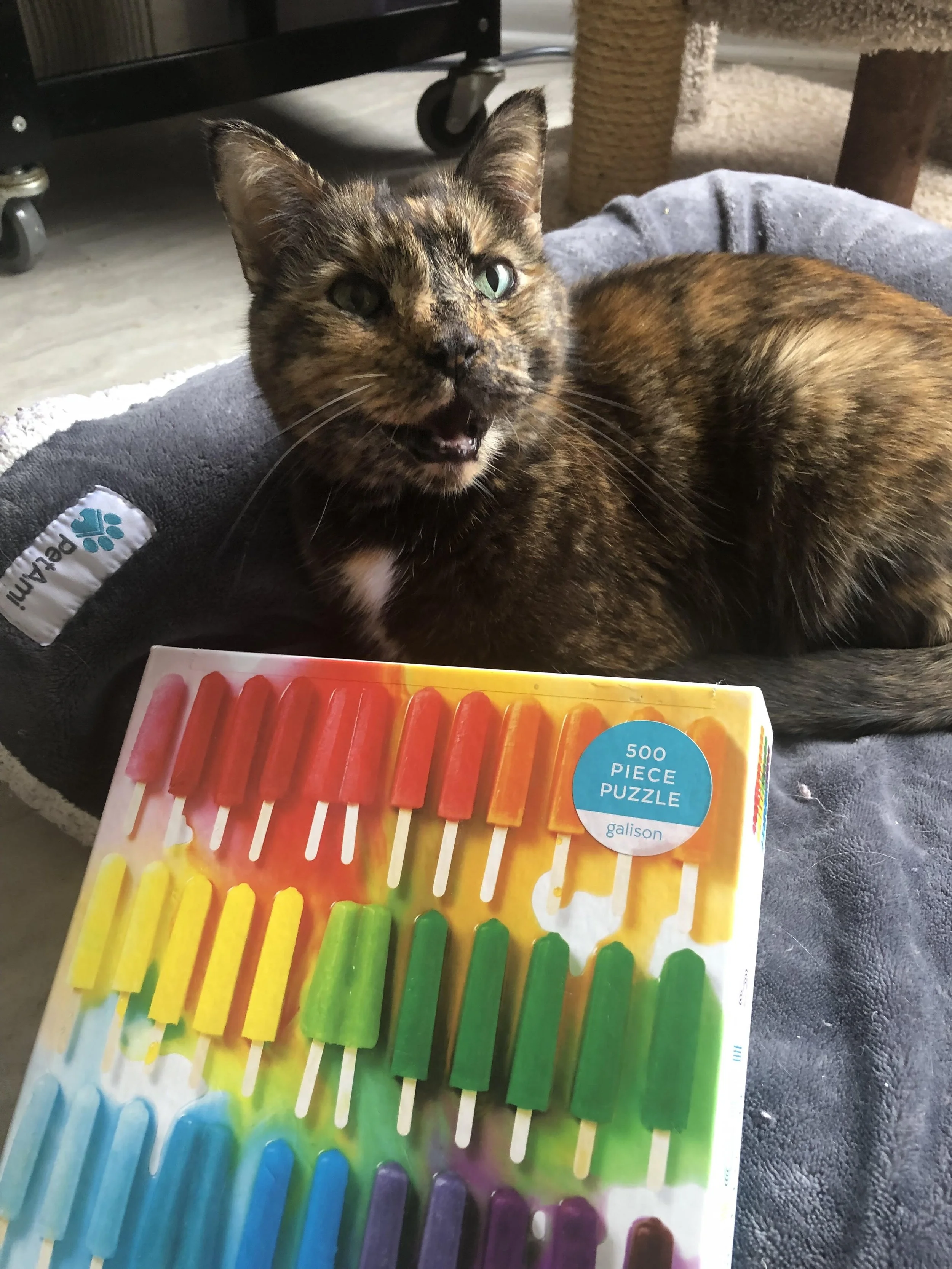 sookie puzzle.jpg