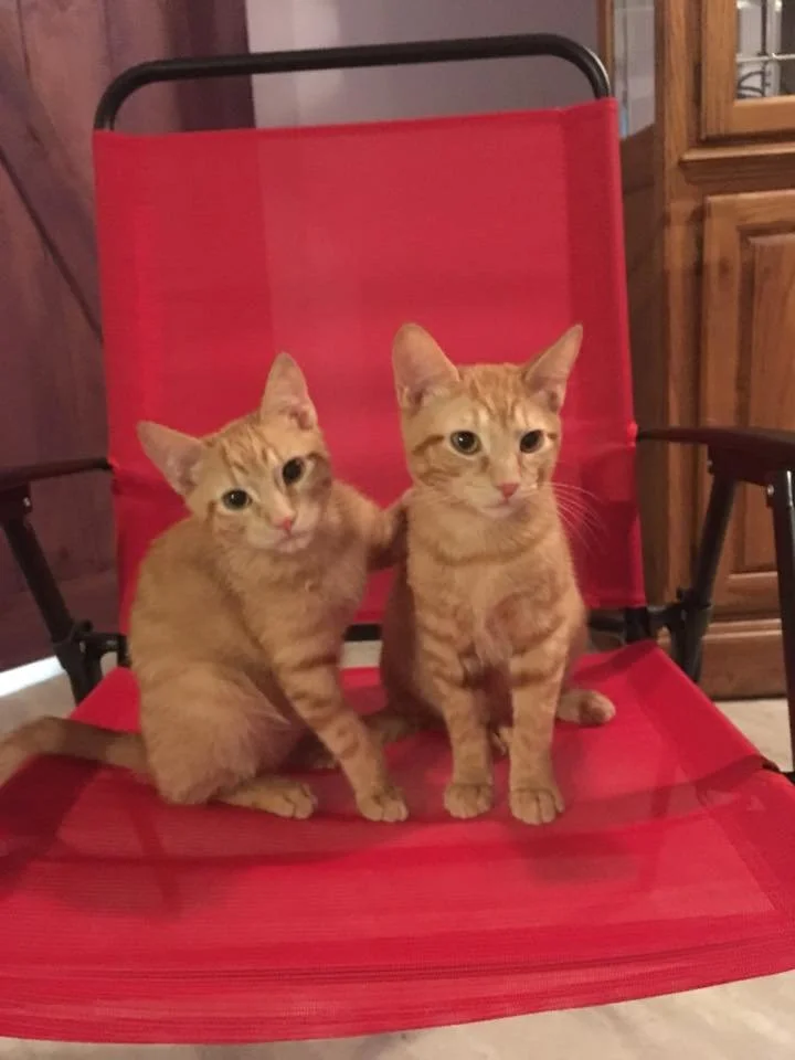 Roux and St Claude in the red chair.jpg