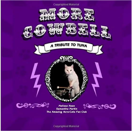 More-Cowbell-A-Tribute-to-Tuna-Book-Rock-Cats-Rescue-Amazing-Acro-cats-09-05-2025_08_10_PM.png