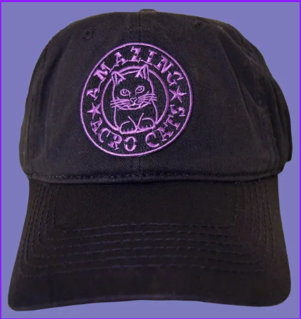 aac hat.png