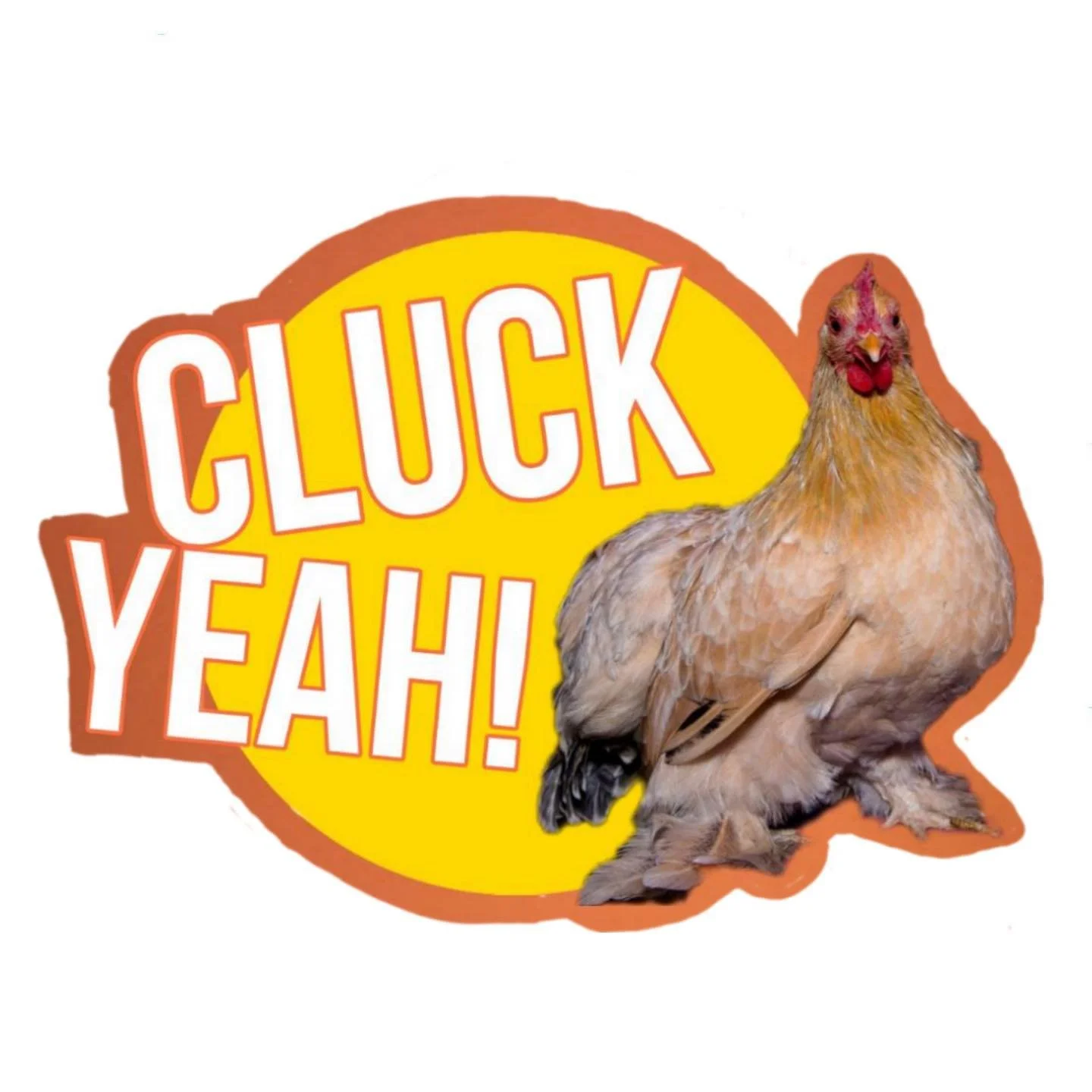 Cluck Yeah sticker.jpg