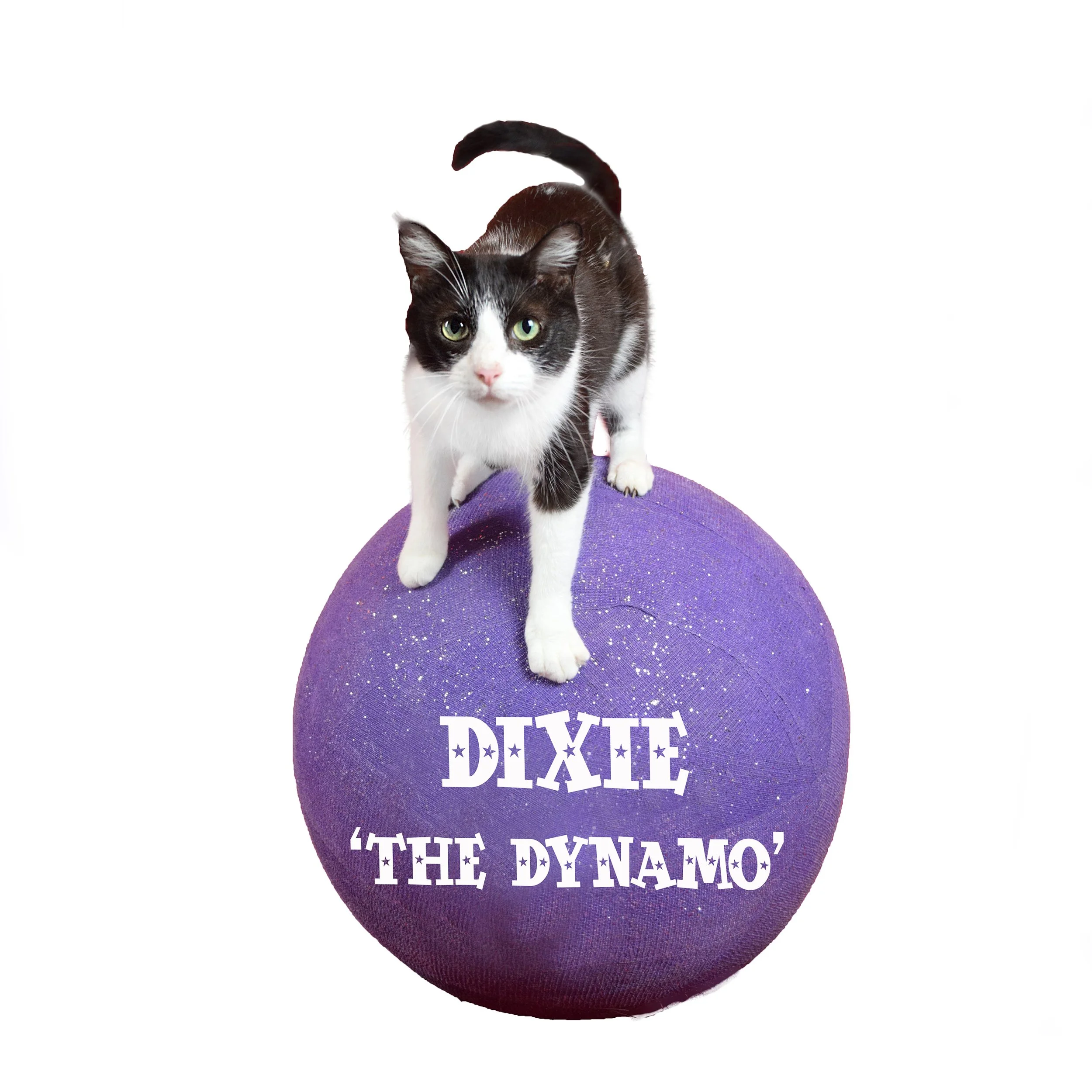 Dixie-YogaBall angela cutout 10x10A.jpg
