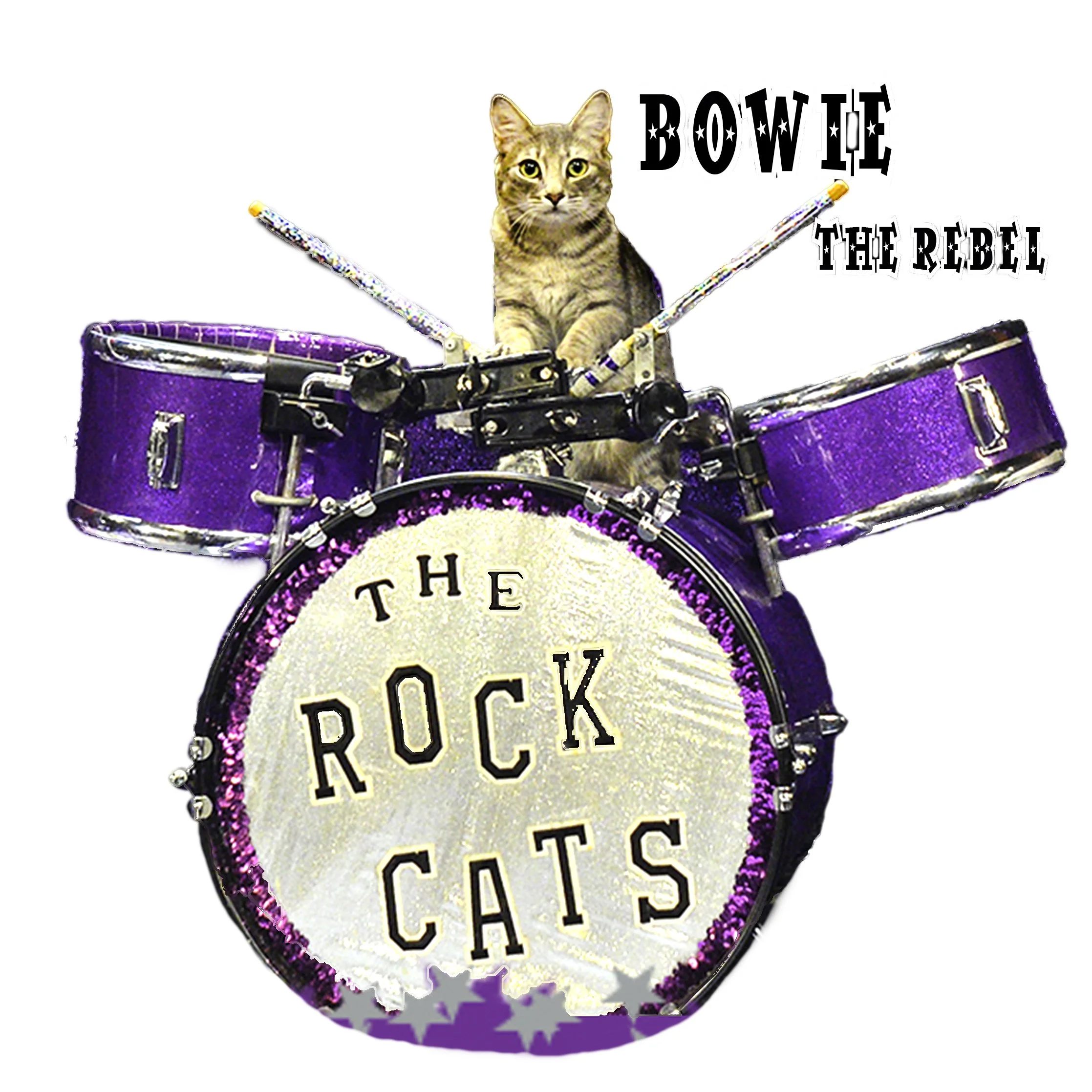 Bowie drummer 2020 sticker with name 5x5.jpg