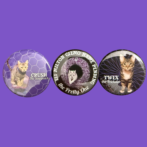3 pack newbie button.png