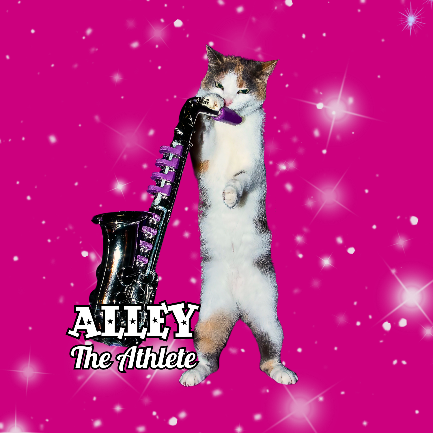 alley (2).png