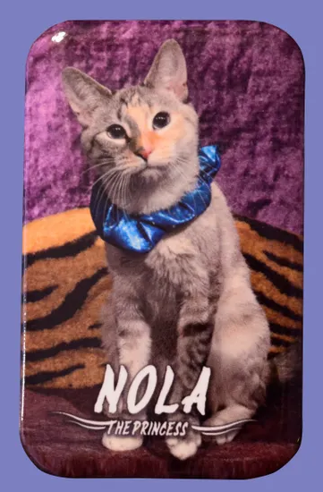 Button-Magnet-of-Nola-“The-Princess”-Rock-Cats-Rescue-Amazing-Acro-cats-09-05-2025_05_44_PM.png