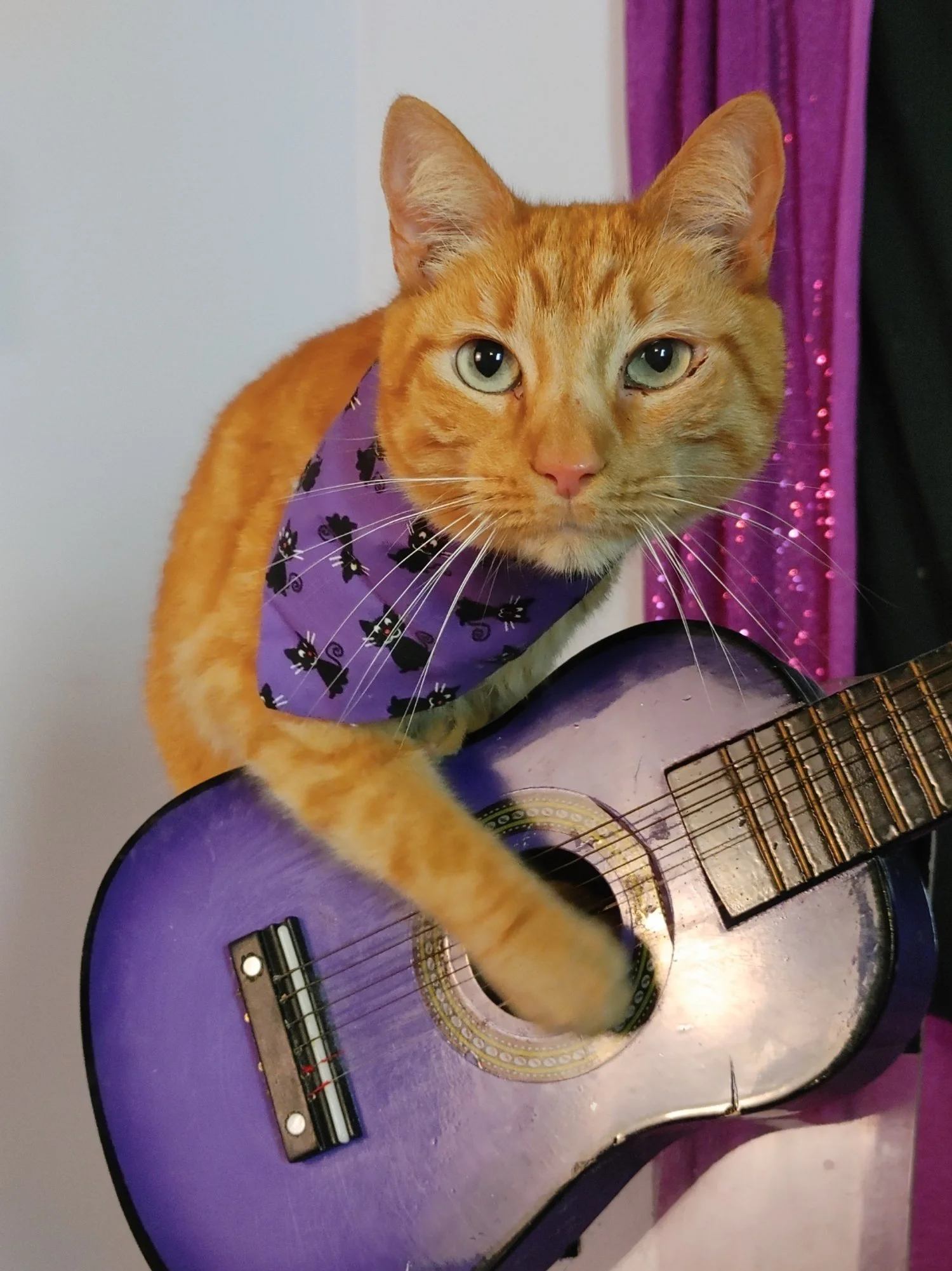 St Claude guitar Angela Callicutt.jpg