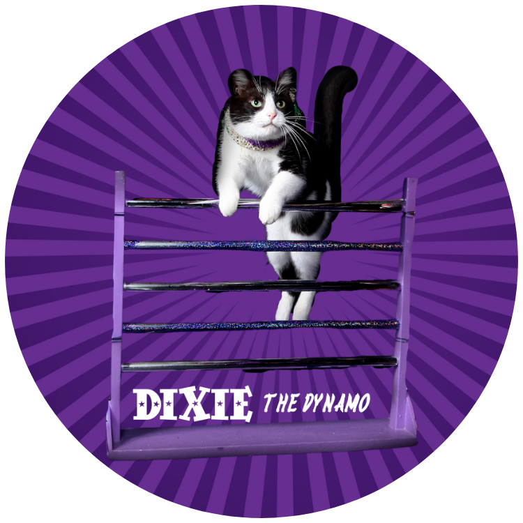 Dixie "The Dynamo" Button/Magnet