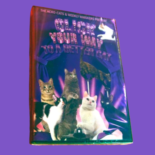 "Click Your Way to a Better Cat" instructional digital download