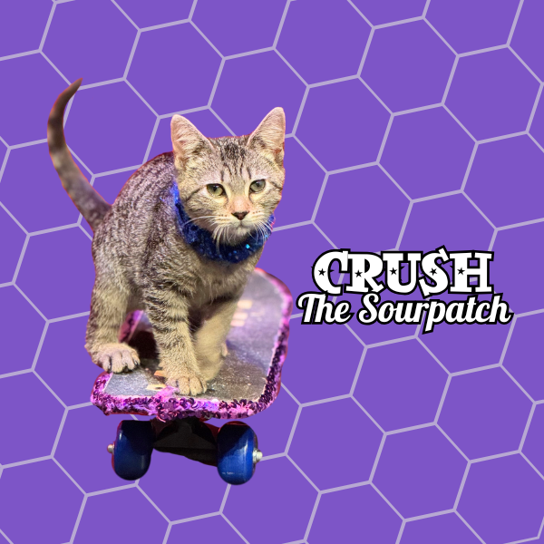 crush button (1).png
