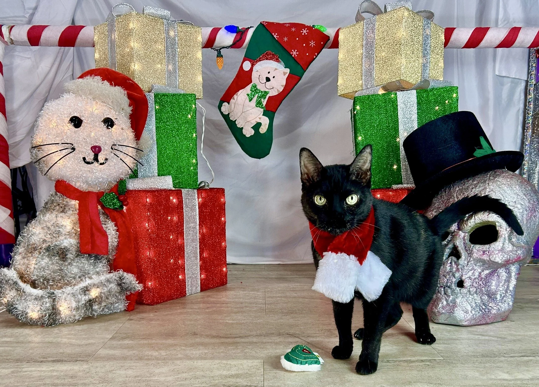 Buggles advent.jpg