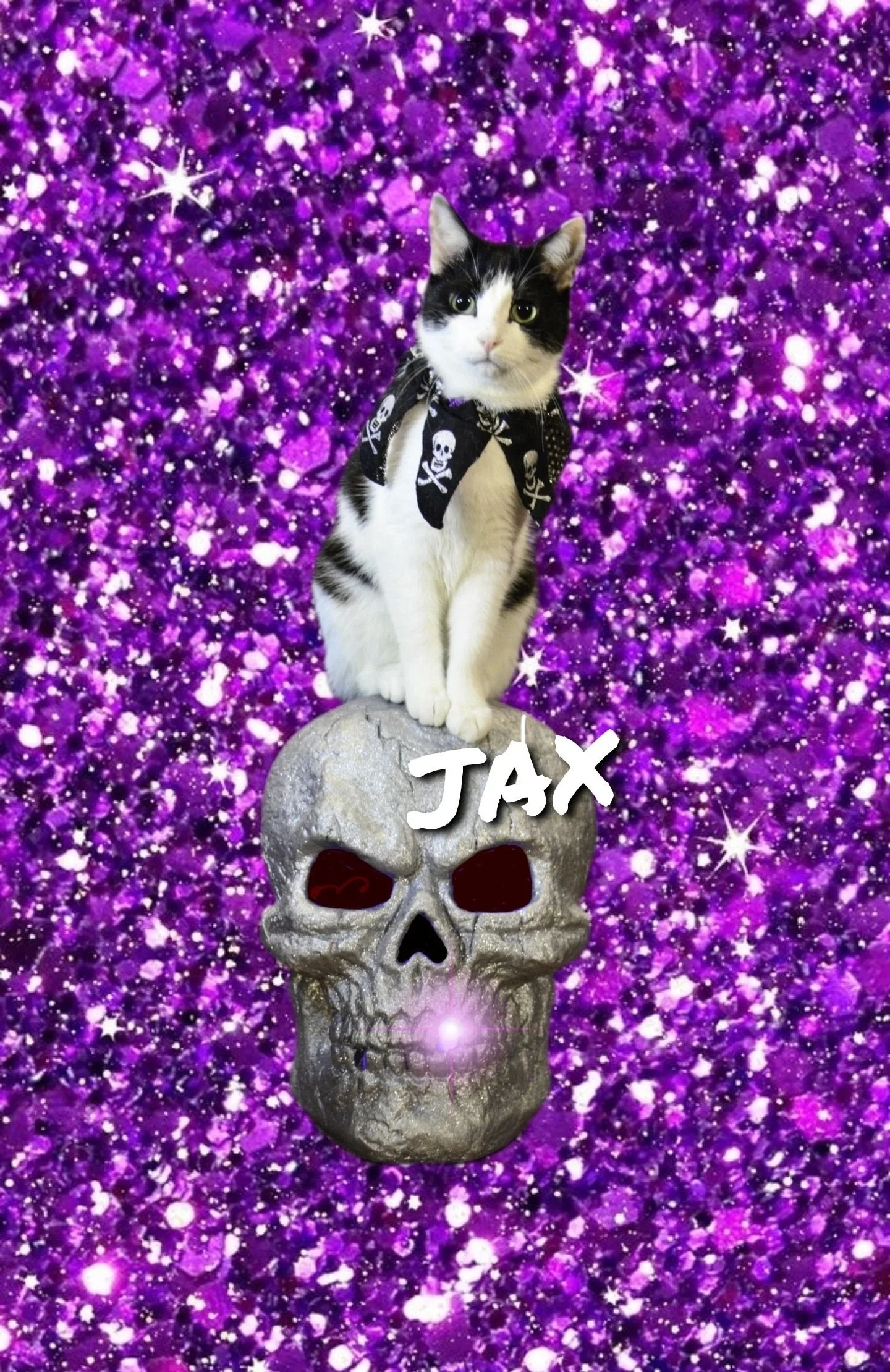 4d4f4f8a-QzZLIAxJ.jpeg