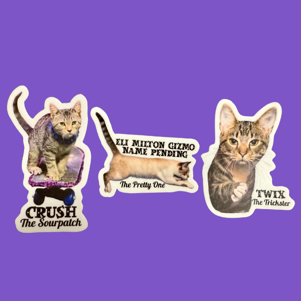 3 pack newbie sticker.png