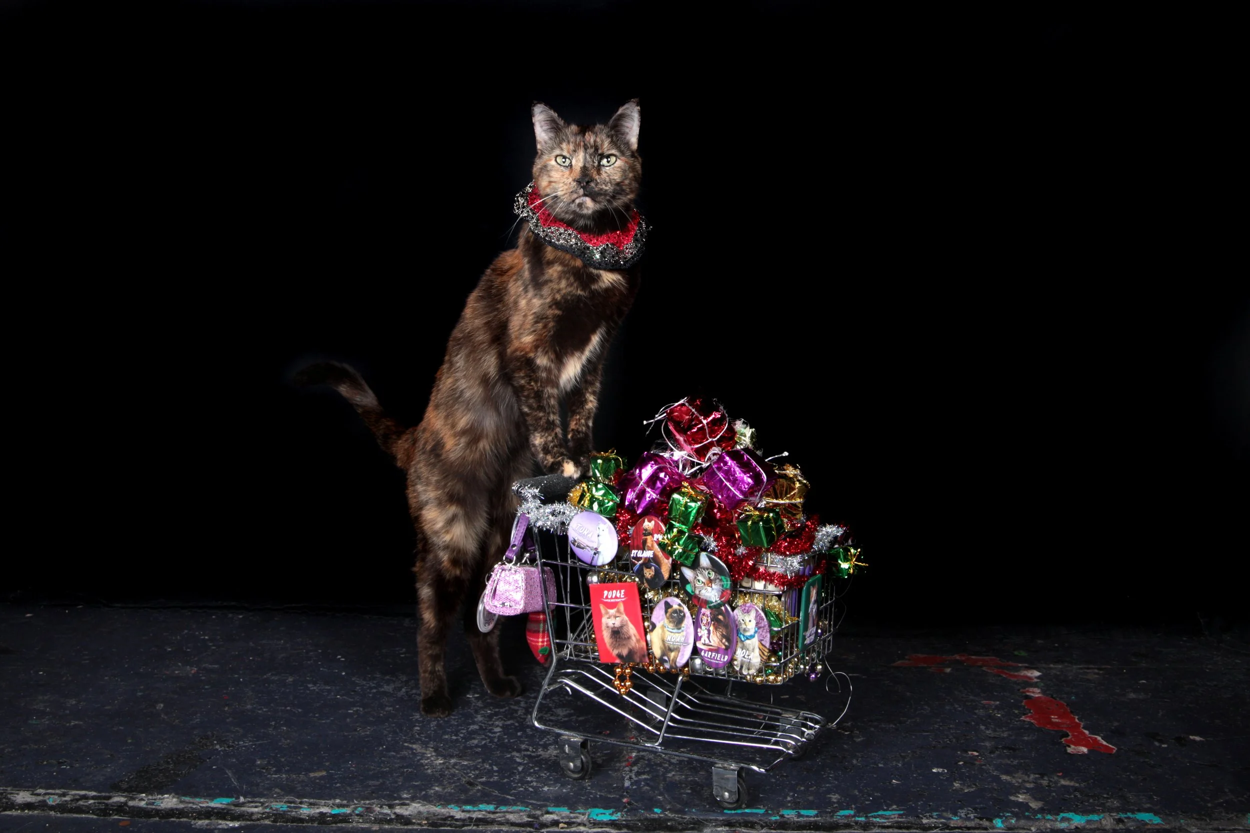 Sookie Shopping Stacey Warnke .jpg