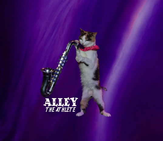 AlleyButton (1).png