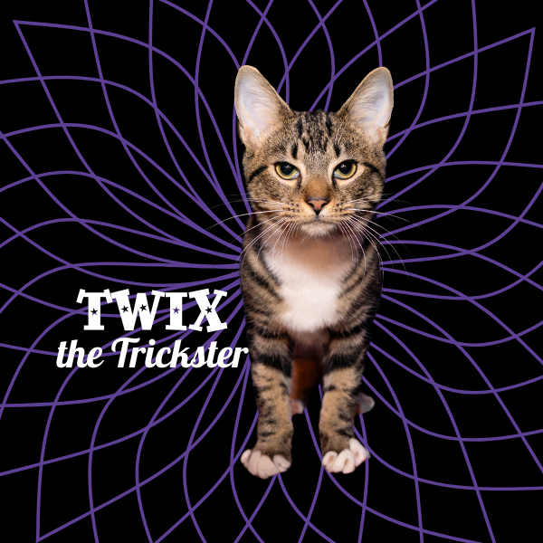 Twix 