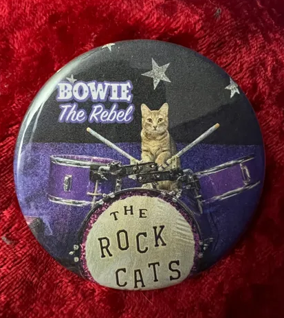 Bowie-drums-Button-Magnet-Rock-Cats-Rescue-Amazing-Acro-cats-09-05-2025_05_41_PM.png