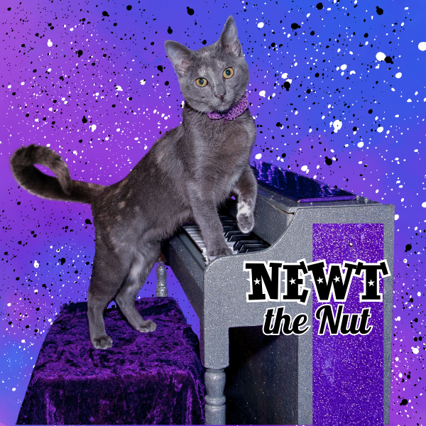 new newt button 2.0.png