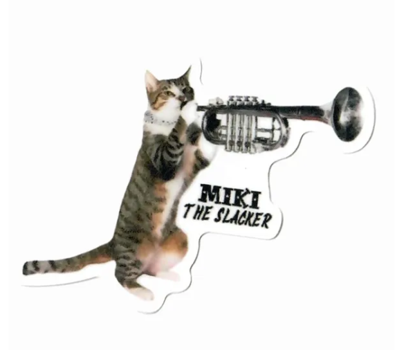 Miki-the-Slacker-Sticker-Rock-Cats-Rescue-Amazing-Acro-cats-09-05-2025_07_30_PM.png