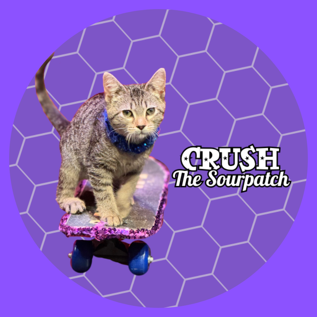 Untitled design (47).png
