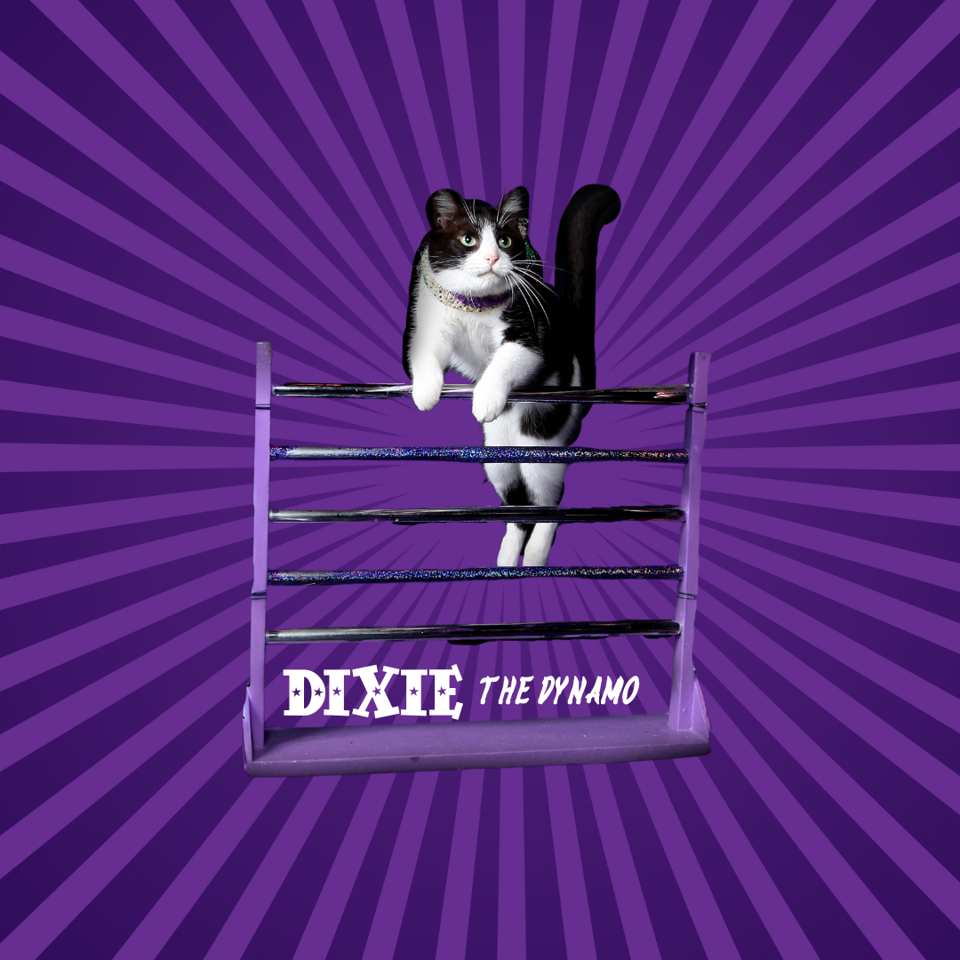 Dixiebutton2.png