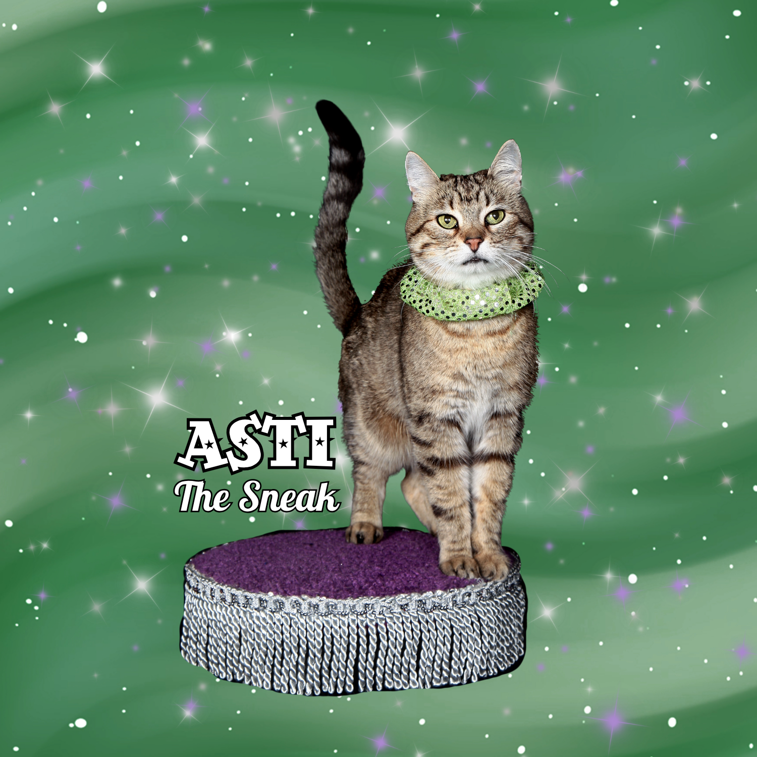 Asti new button.png