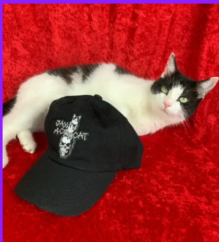 jax hat.png