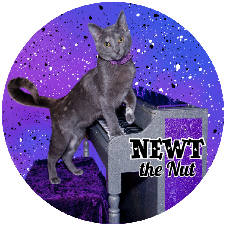 Newt "The Nut" Button/Magnet