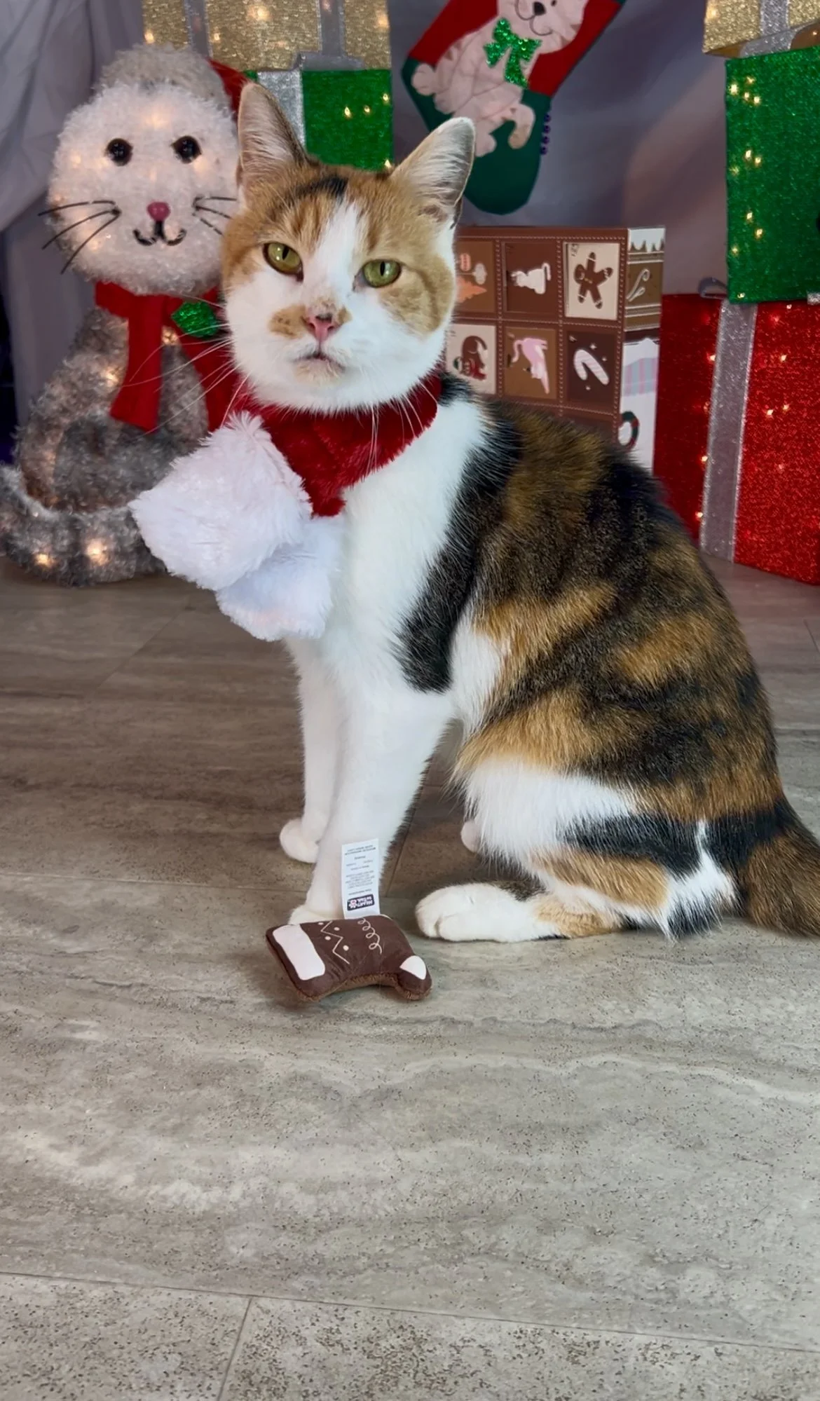 annie advent.jpg