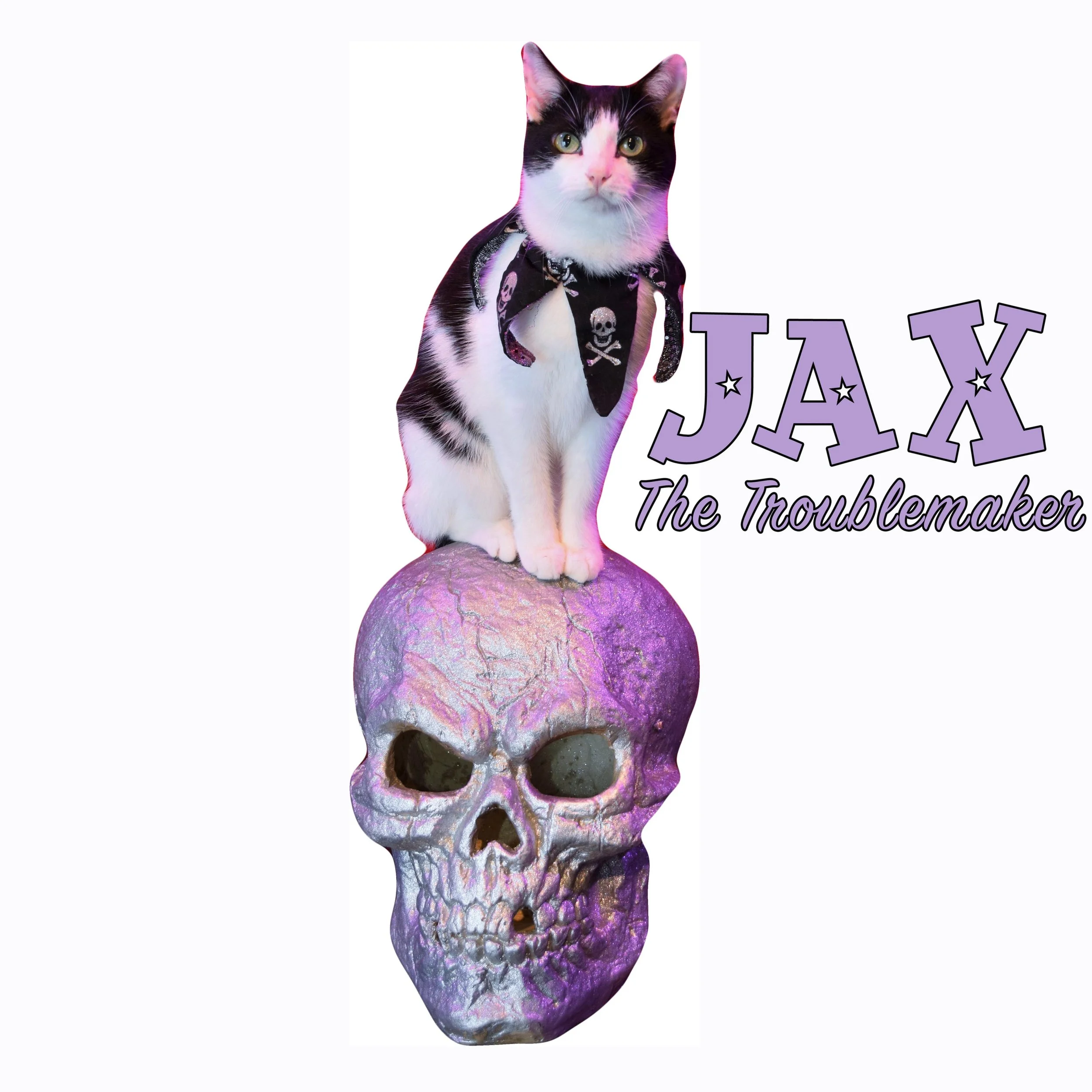 JAX skull sticker with name.jpg