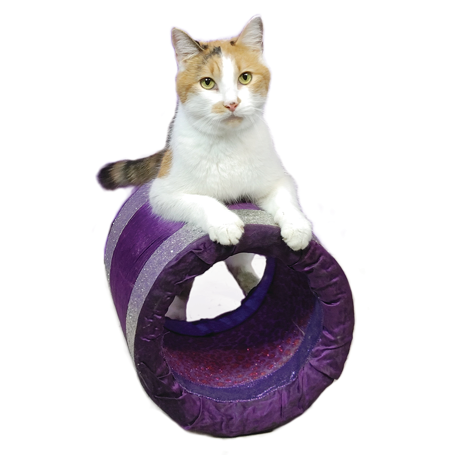 Annie (2).png