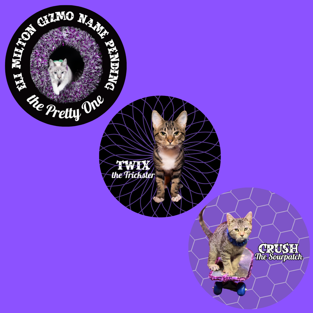 Untitled design (45).png