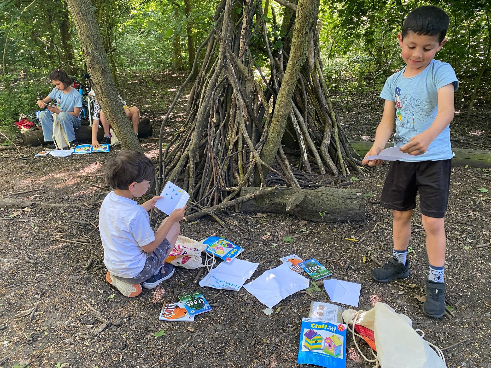 Woodland fun