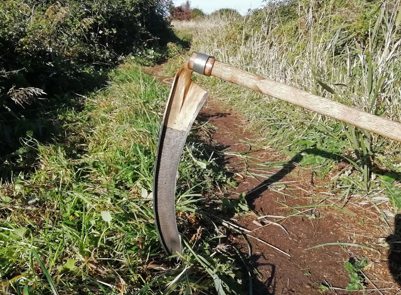 Spring Scything